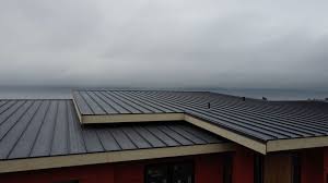 Best Storm Damage Roof Repair  in Olyphant, PA